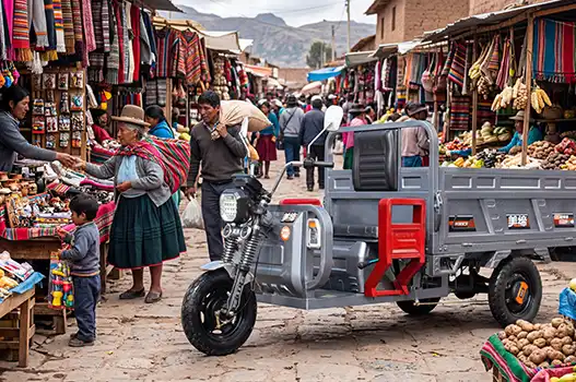 High Performance E-Tricycle for Cargo 3 Wheeler for Logistics Transport